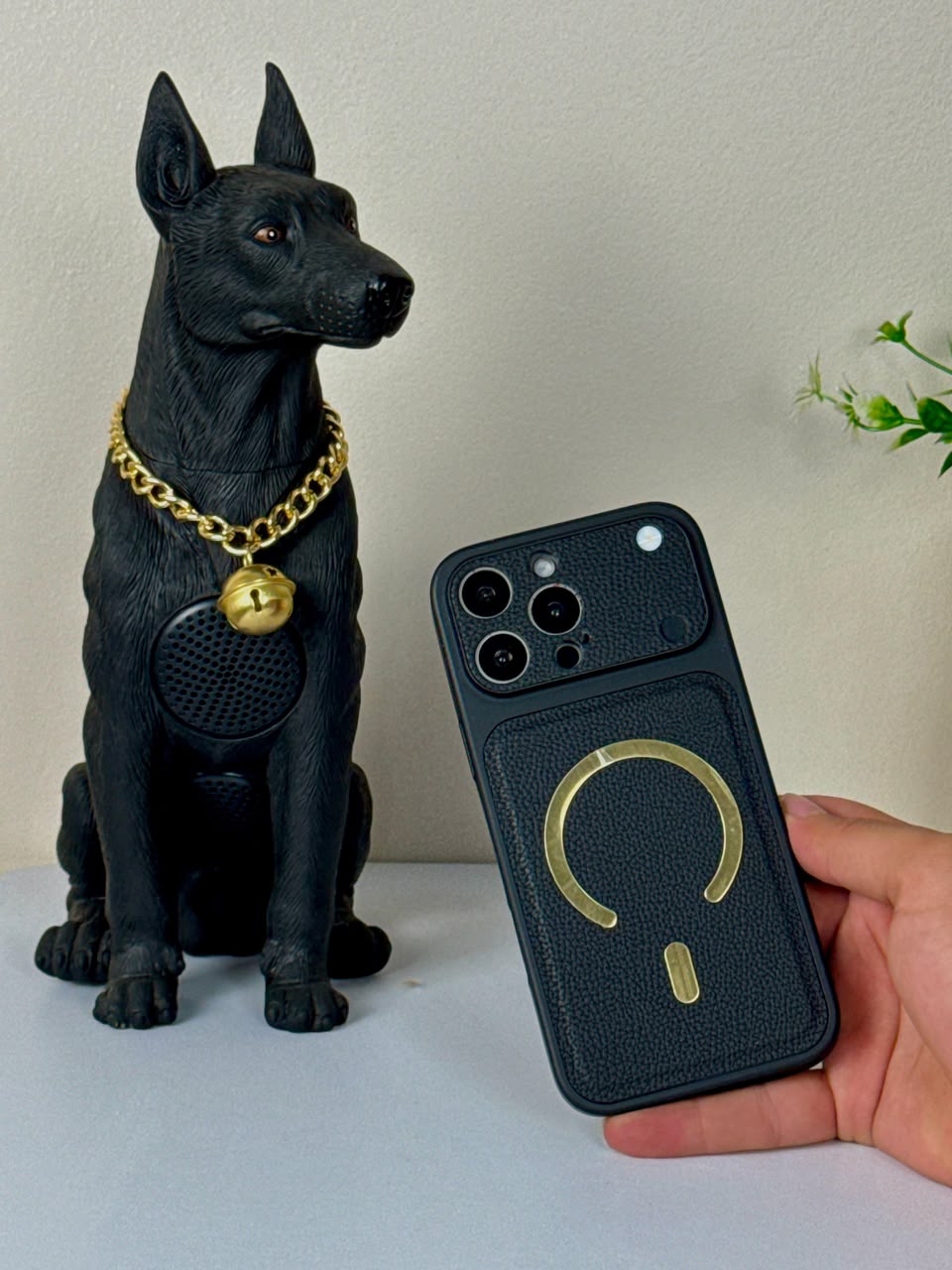 iPhone Transform Case With Magesafe
