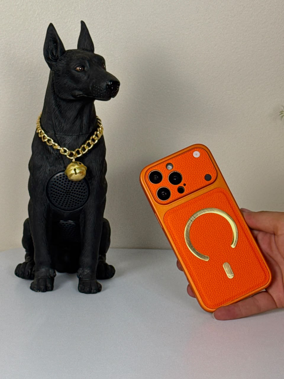 iPhone Transform Case With Magesafe